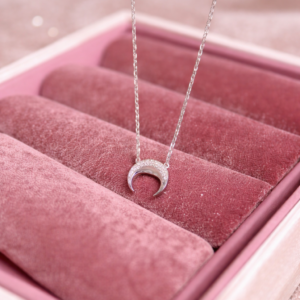 Crescent Moon Necklace